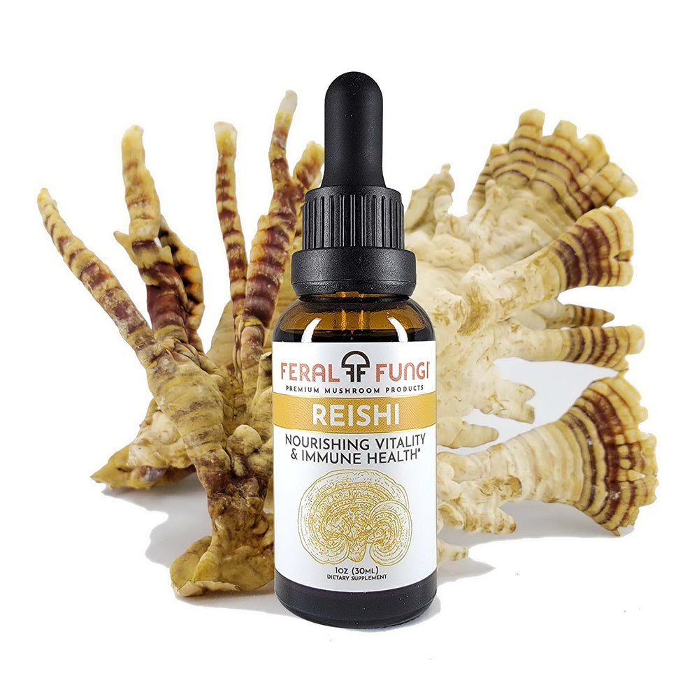 Feral Fungi Reishi Nourishing Vitality and Immune Health Nourishing to Liver and Kidneys 1Oz (30ml)