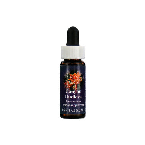 Canyon Dudleya Herbal Supplement Dropper By Flower Essence - 0.25 Oz