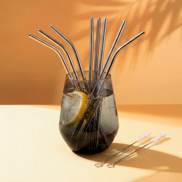 Art Culinaire - Set de 8 pajitas + cepillo limpiador - Solid Dia - Acero inoxidable 18/8 - Plateado