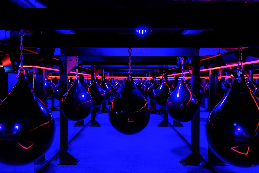 1 Session - Le Cercle Boxing