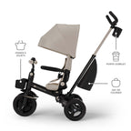 Aveo 2 Plus Tricycle