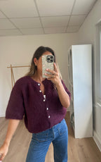 Elisa burgundy short-sleeved knit
