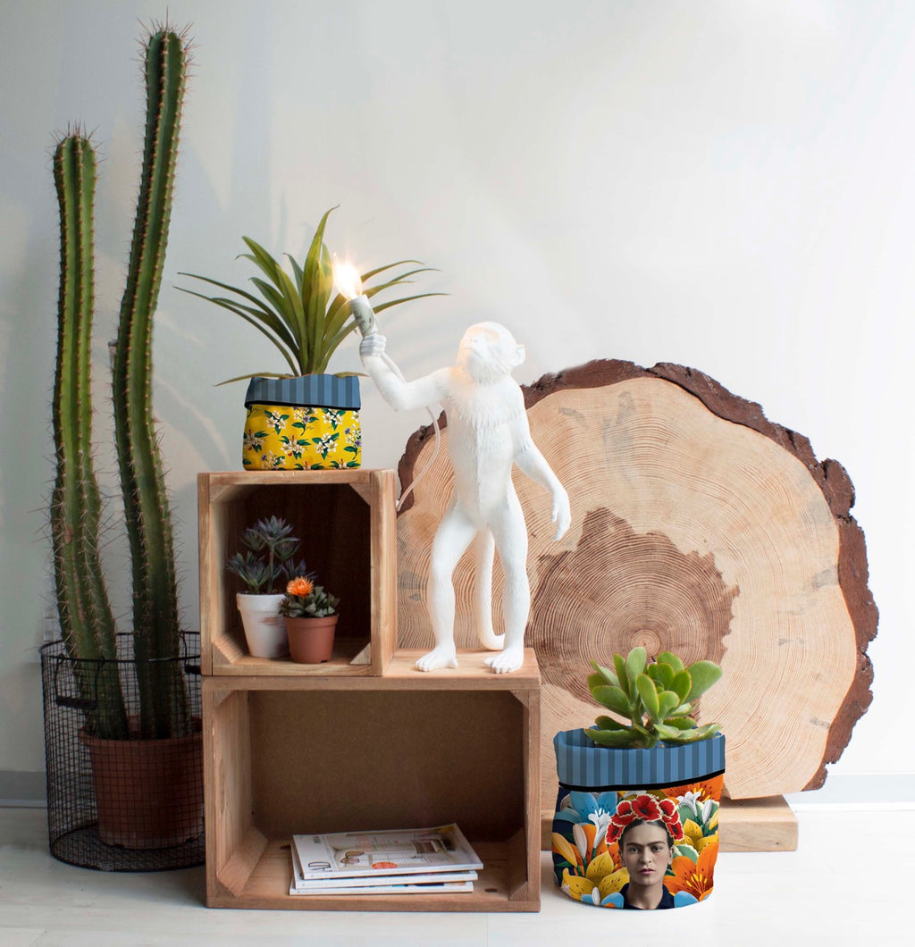 Cache-Pot - Primavera - Multicolore