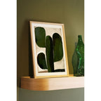 marco-cactus
