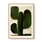 marco-cactus