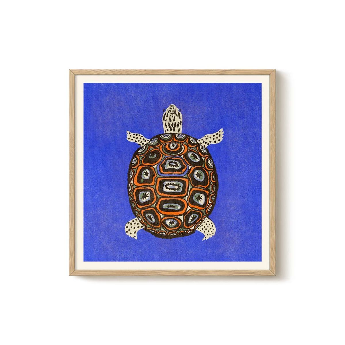 Enikő Eged - Turtle Blue
