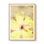 Liat Greenberg - Yellow Flower