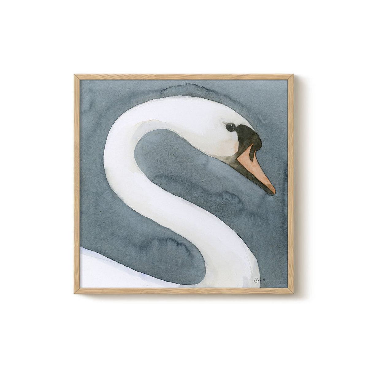 Jörgen Hansson - Swan head