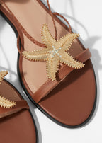 Shoes Rio High Leg Sandal - Brown - Women