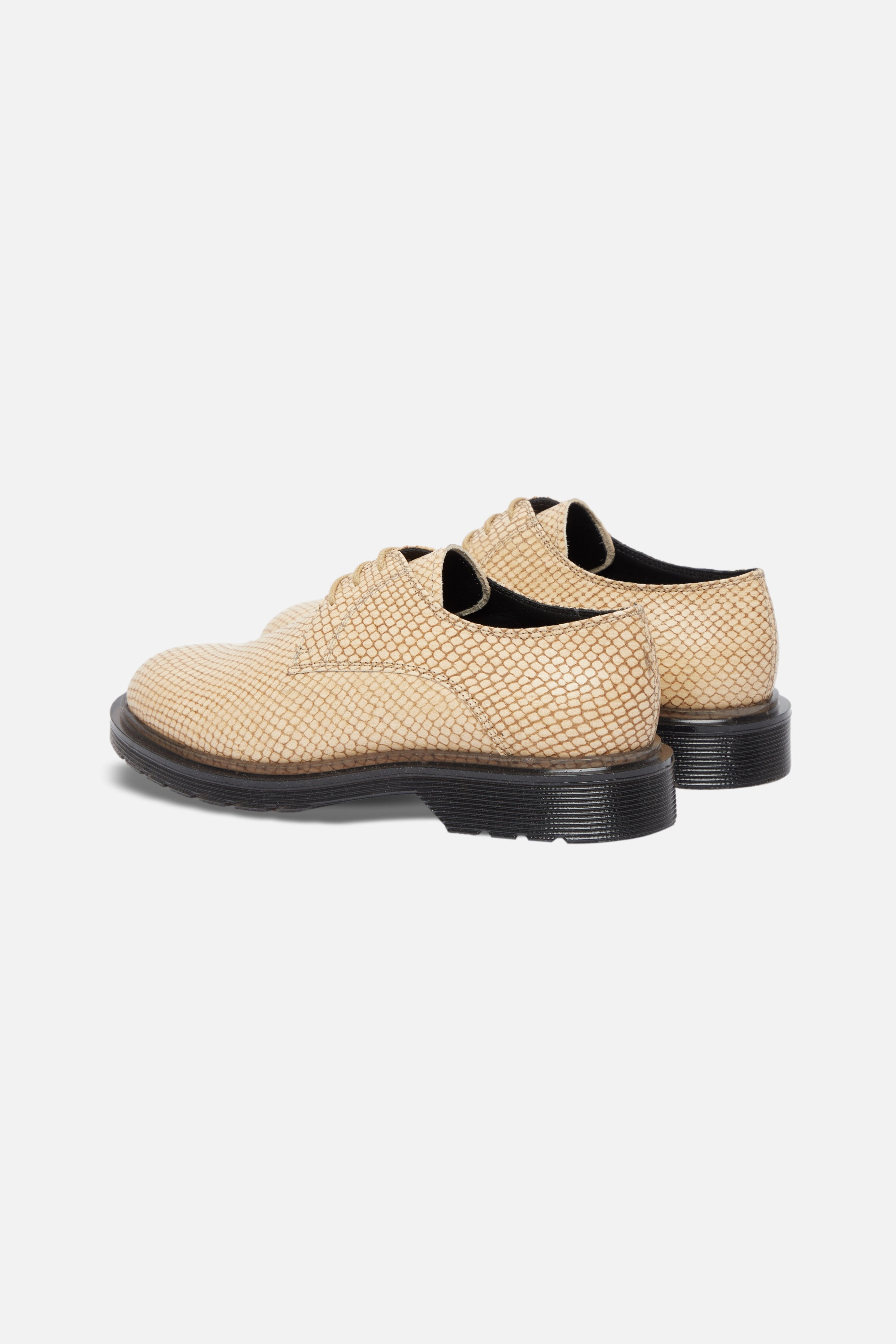 Titi PYTHON BEIGE Oxford Shoe