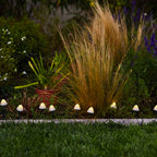 Champy - Decoración Luz Solar - Plástico - Blanco
