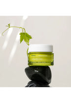 Santorini Grape Cream - Poreless Skin - 40Ml