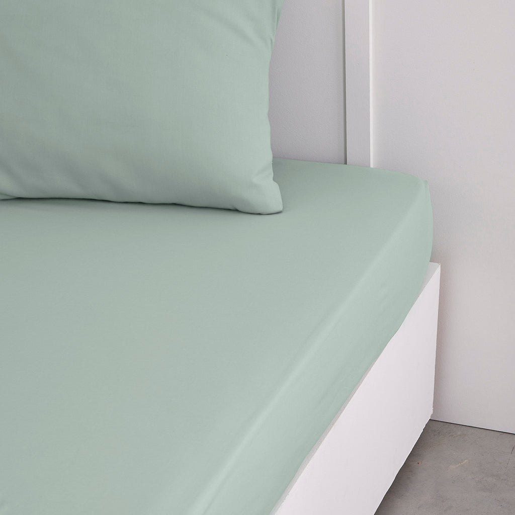 Percale Permanent Premium - Drap Housse Percale - Celadon