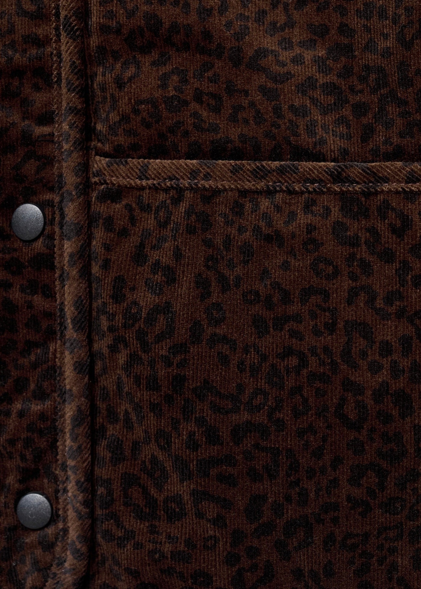 Veste Leo Marron - Fille