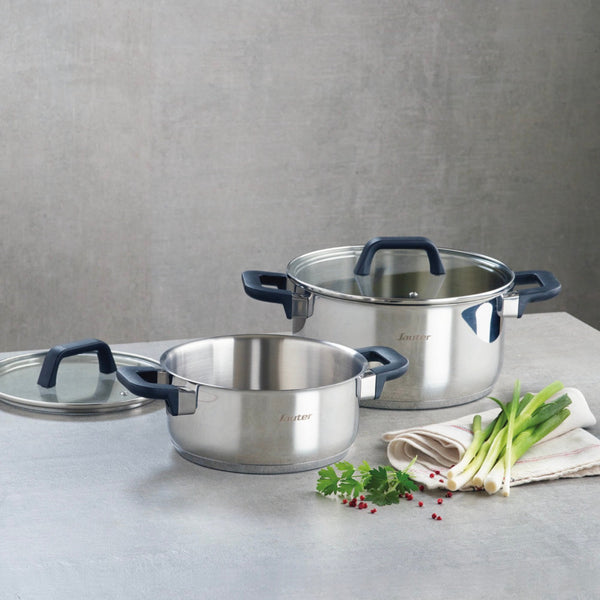 Set of 2 Stainless Steel Saucepans with Glass Lids - Qulinox - Silver