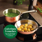 Triply Copper Stainless Steel Frying Pan 24 Cm - Copper