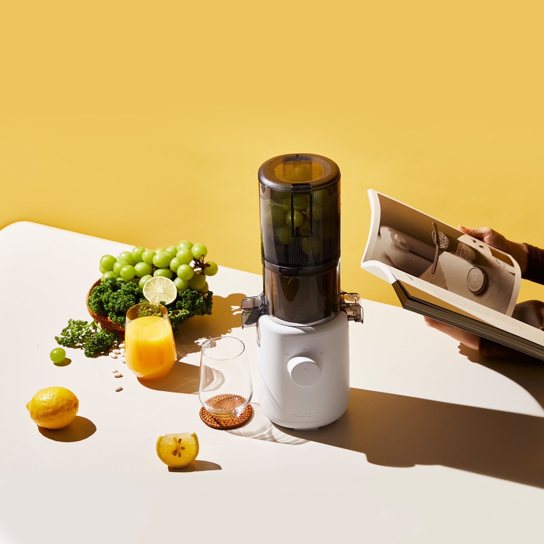 Mini Slow Juice Extractor - H310A Series - White