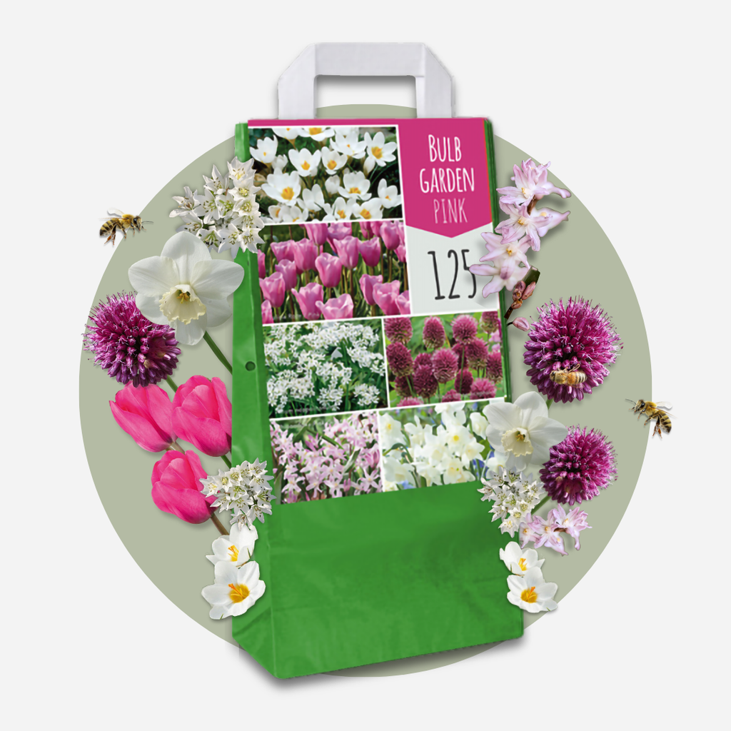 Mélange De 125 Bulbes De Printemps – Plante D'Extérieur