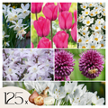 Mélange De 125 Bulbes De Printemps – Plante D'Extérieur
