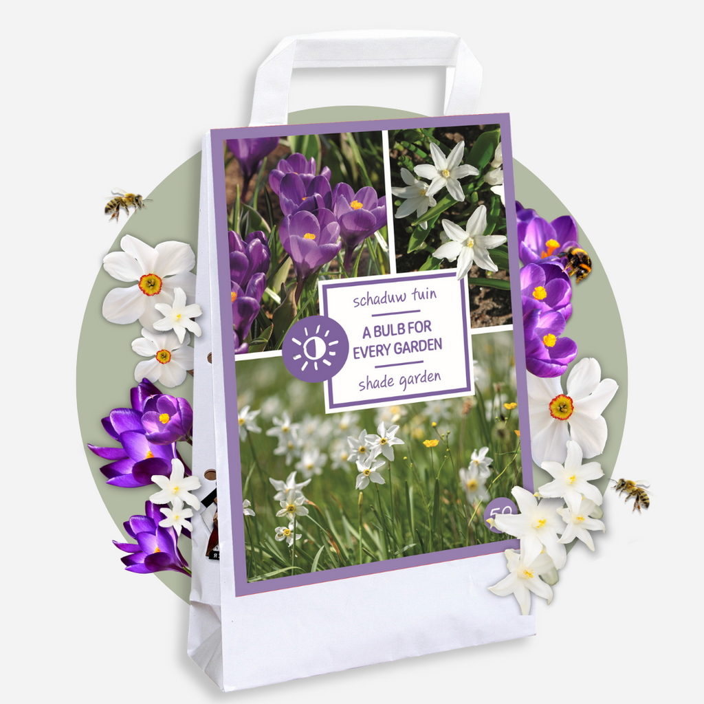 Mix of 50 Shadow Garden Bulbs – Outdoor Plant