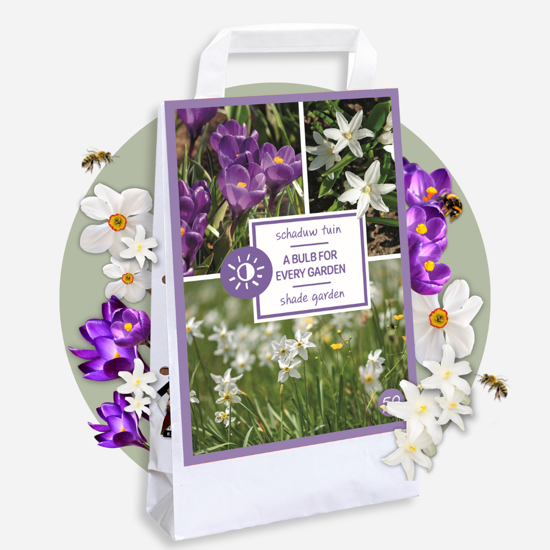 Mix of 50 Shadow Garden Bulbs – Outdoor Plant