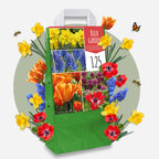 Mélange De 125 Bulbes Colourful – Plante D'Extérieur
