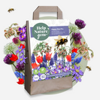 Mélange De 80 Bulbes Happy Bee – Plante D'Extérieur