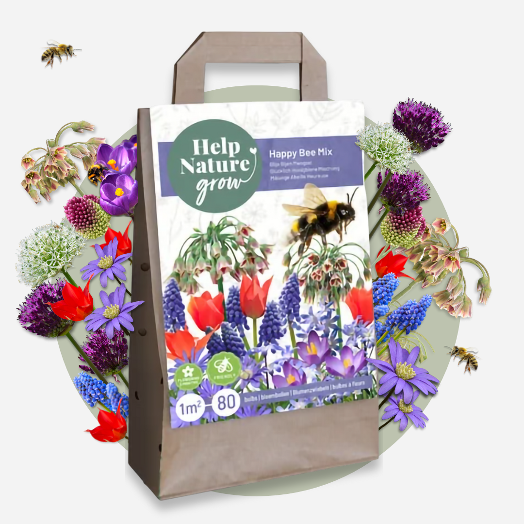 Mélange De 80 Bulbes Happy Bee – Plante D'Extérieur
