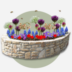 Mélange De 80 Bulbes Happy Bee – Plante D'Extérieur