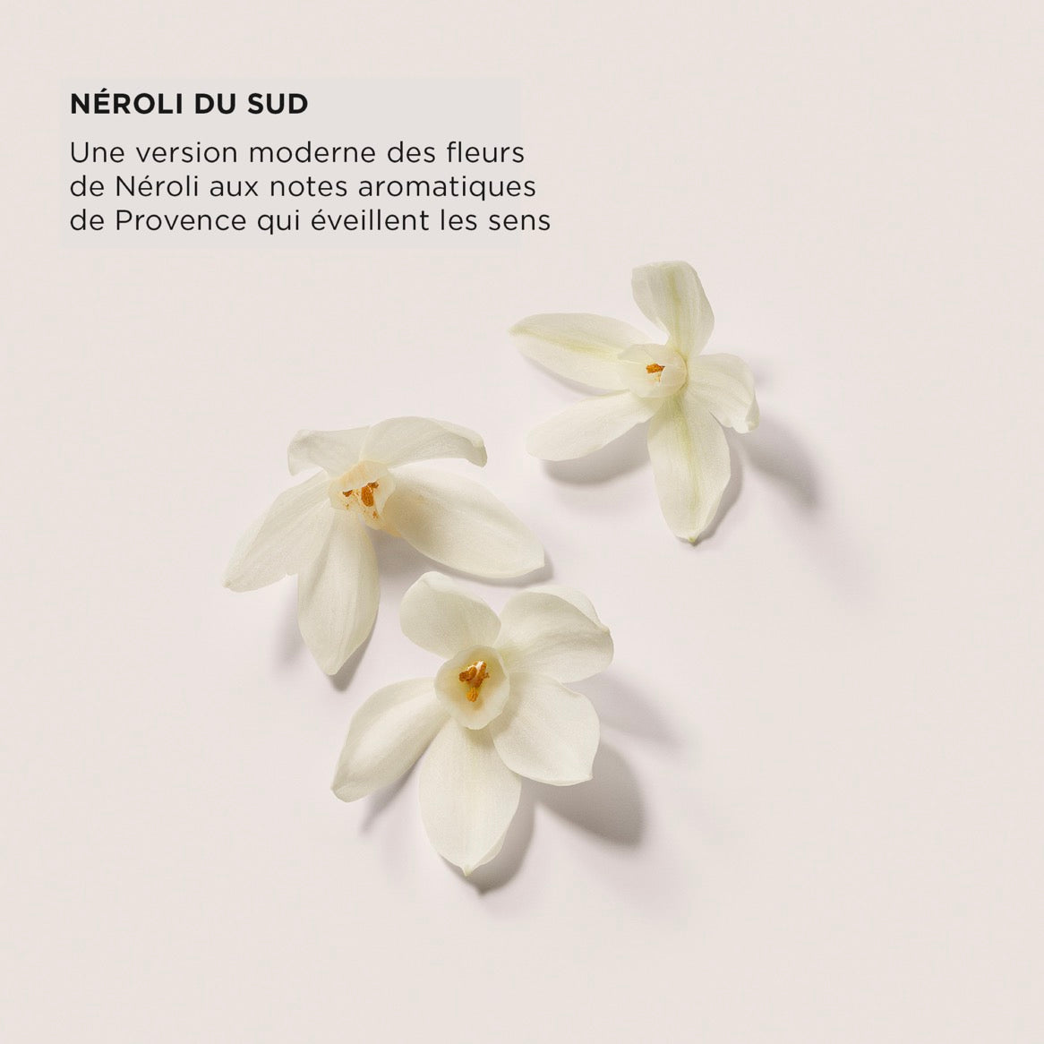 Exfoliating Body Wash - Néroli Du Sud