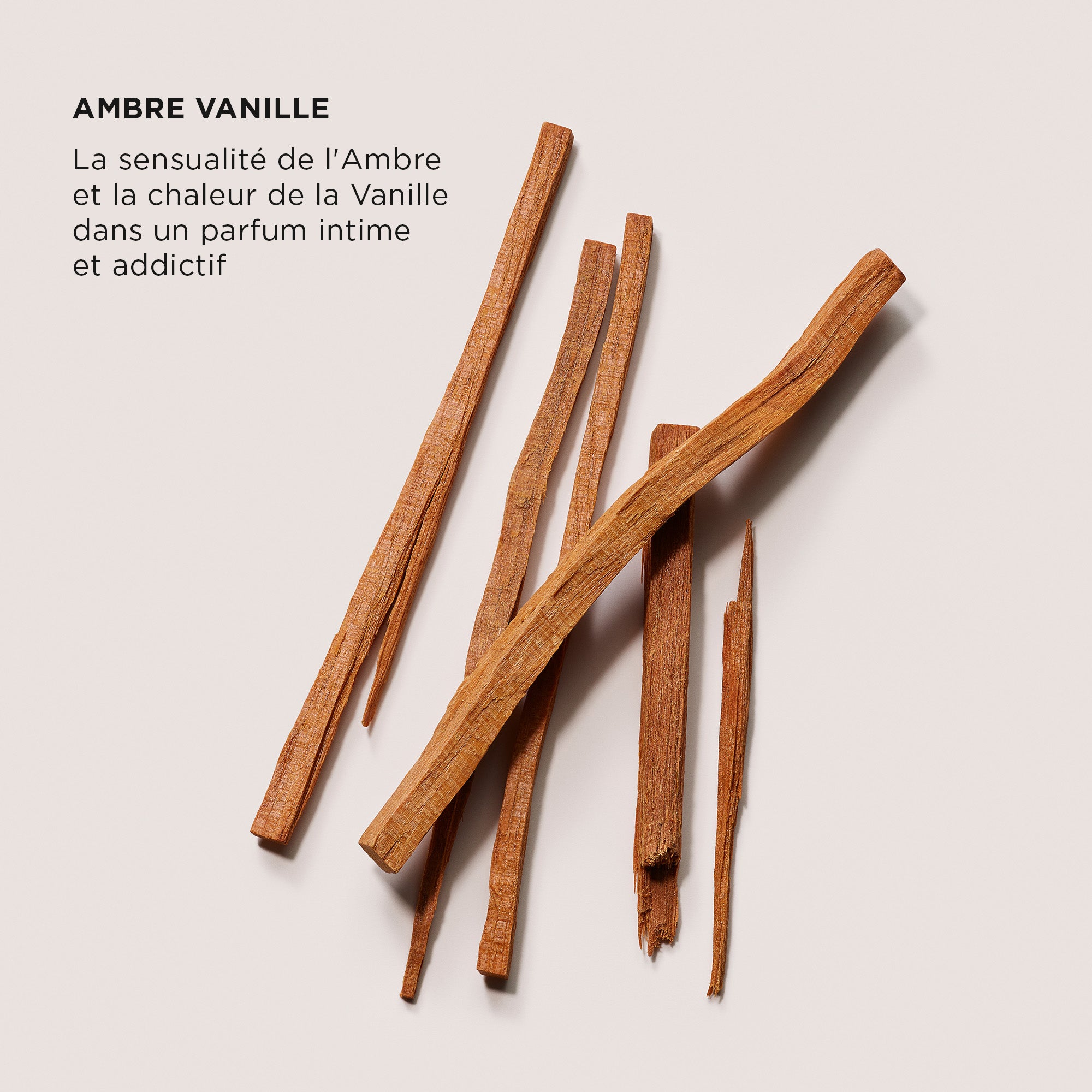 The Daydreamer's Indulgence - Luxe Indulgence Set Duo - Ambre Vanilles
