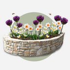 Mélange De 35 Bulbes Jardin Sec – Plante D'Extérieur
