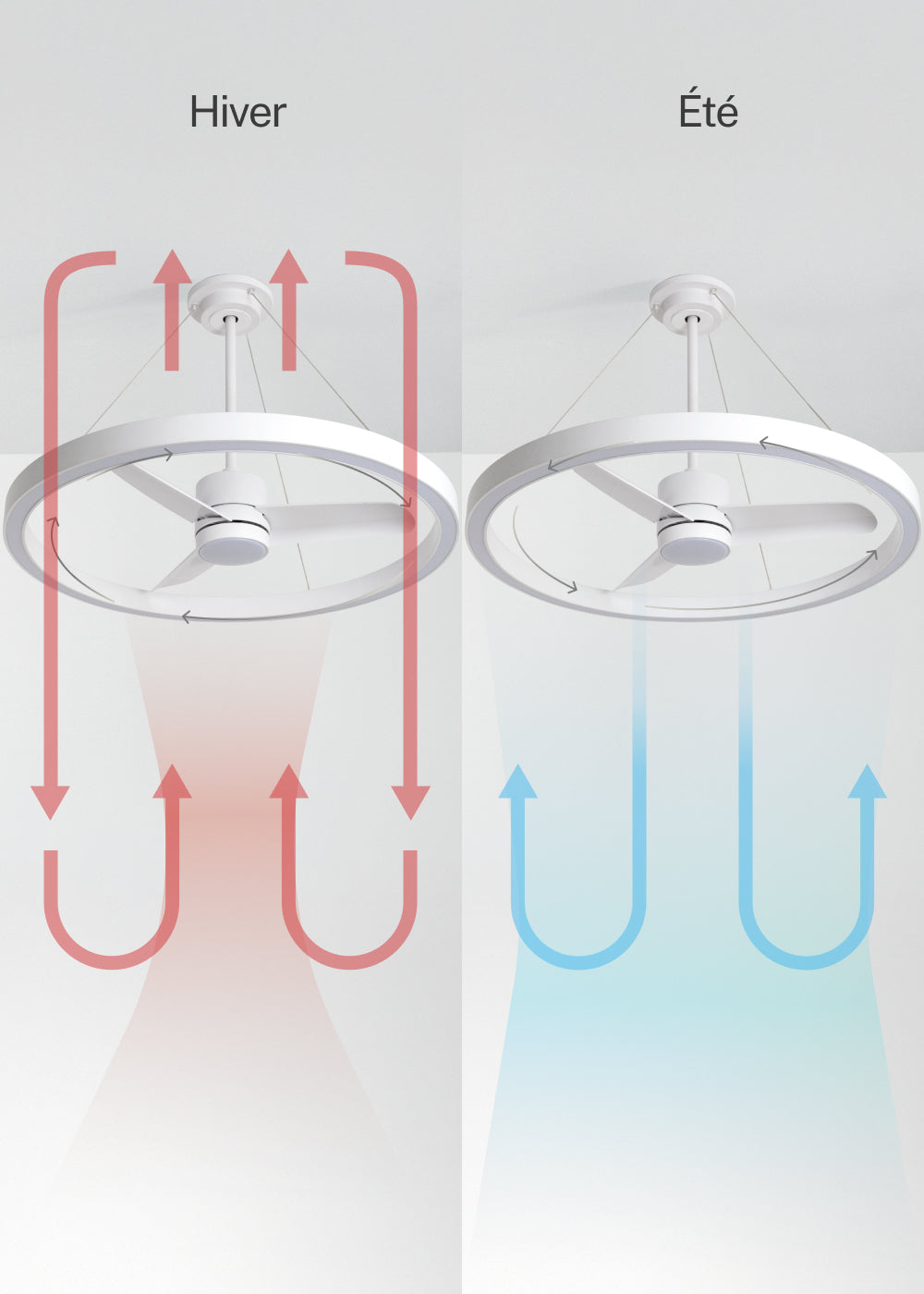 Wind Halo - Ventilateur De Plafond 36W Silencieux Ø108cm Avec Anneau Lumineux LED