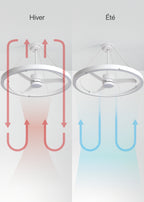 Wind Halo - Ventilateur De Plafond 36W Silencieux Ø108cm Avec Anneau Lumineux LED