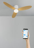 Wind Lite M - Ventilateur De Plafond Silencieux Intérieur & Extérieur - Avec Lumière & WIFI + Télécommande - Blanc & Bois Clair