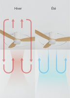 Wind Lite M - Ventilador De Techo Silencioso Para Interior & Exterior - Con Luz & Controlador De Pared - Blanco & Madera Clara