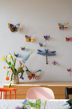 Acacia Butterfly