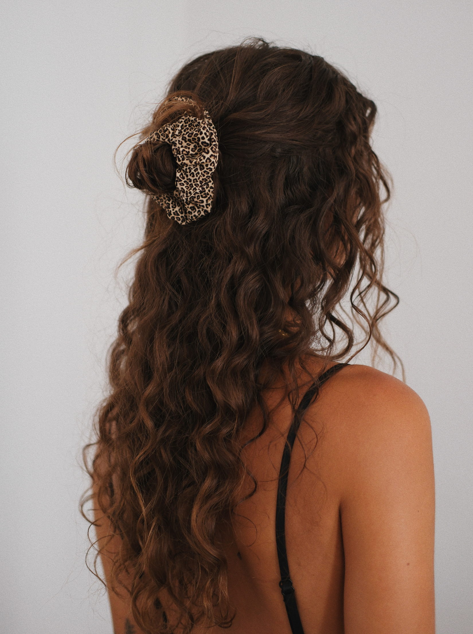 Coletero Leo