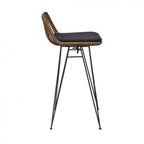 Capurgana - Lot De 2 Chaises De Bar Design - Rotin - Bois foncé