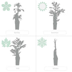 Lot De 2 Passiflores Constance Elli