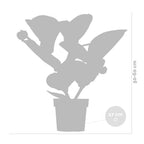 Medinilla Flamenco – Plante D'Intérieur