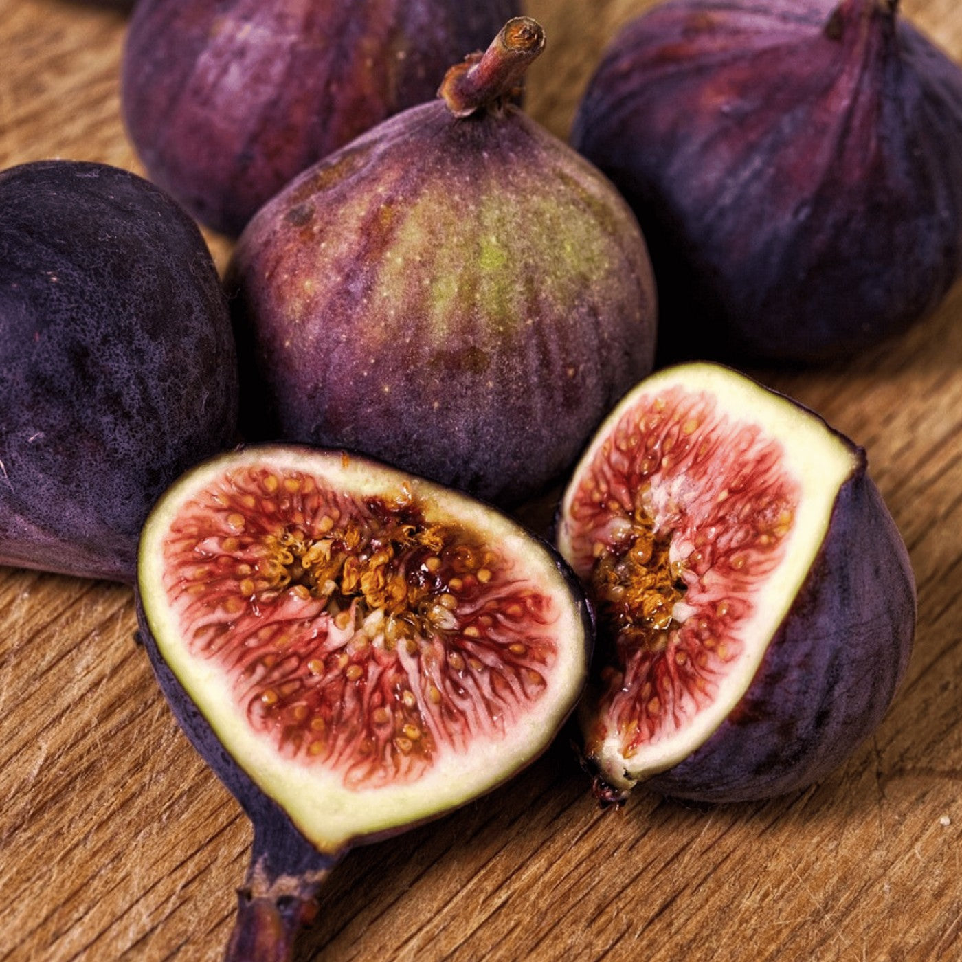 Figuier - Ficus Carica