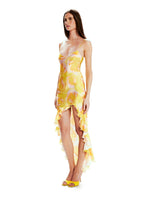 Valentina Wild Roses Dress