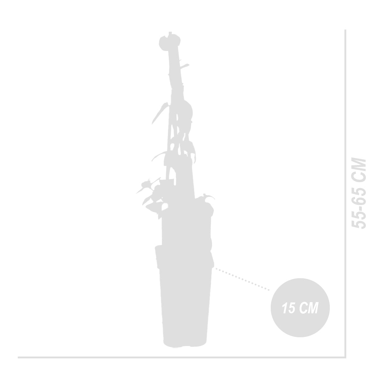 Lot De 2 Chèvrefeuilles Halliana – Plante D'Extérieur
