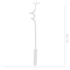 Lot De 5 Dracaena Sanderiana – Plante D'Intérieur