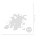 Philodendron Scandens Micans – Houseplant