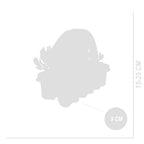 Lot De 6 Lavandes Blanches – Plante D'Extérieur