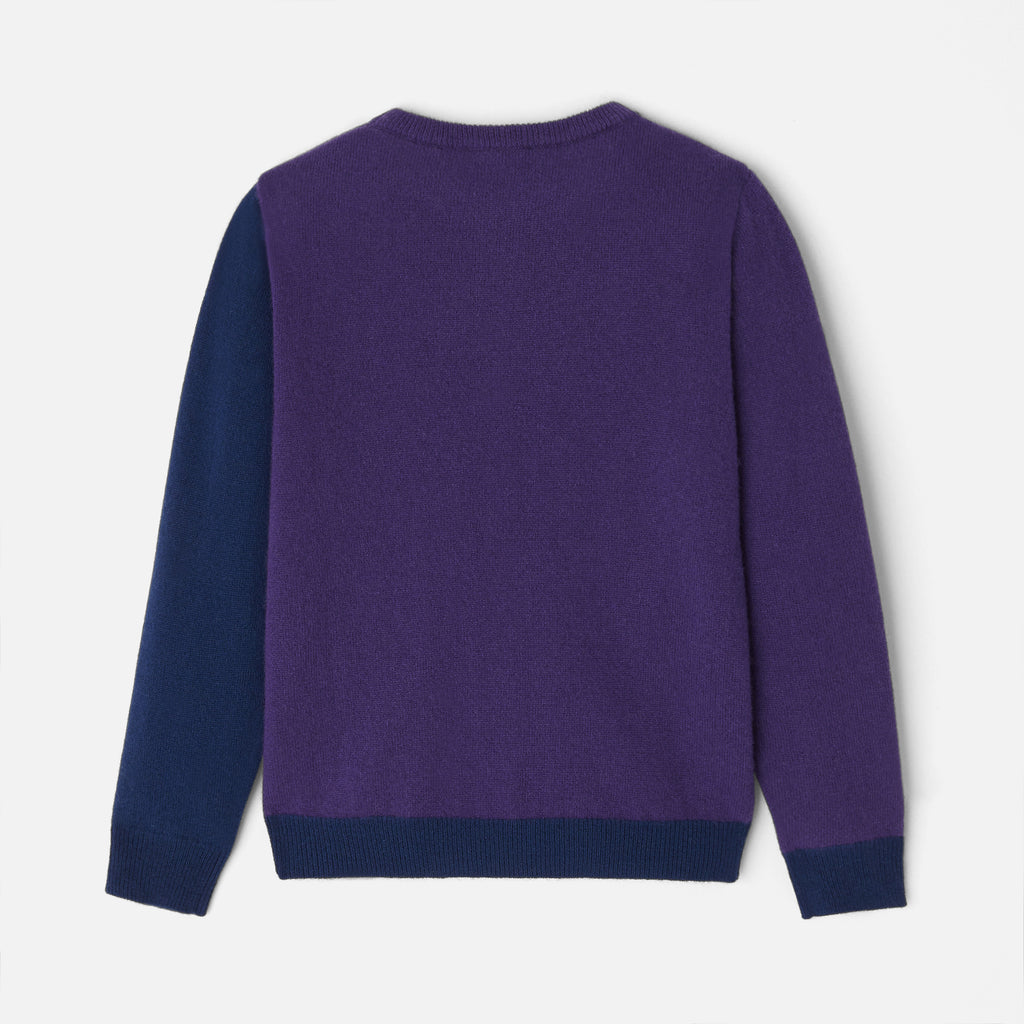 Pull Avec Manches - Violet - Garçon