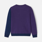 Pull Avec Manches - Violet - Garçon
