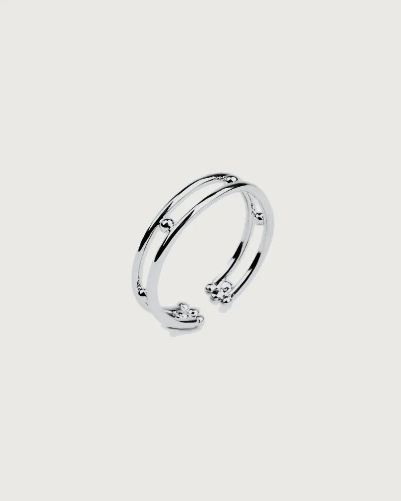 Palladinierter Ring Arnborg